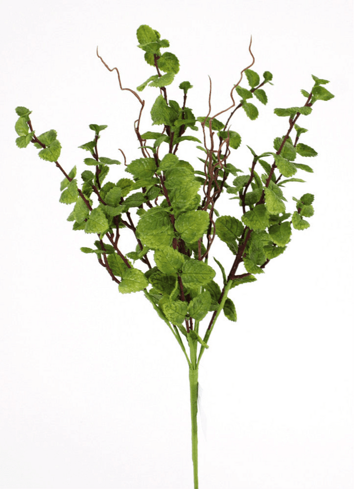 Green Peppermint Leaves Bush - Greenery Market219642