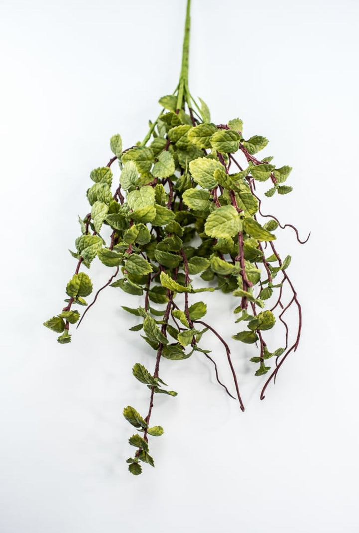 Green Peppermint Leaves Bush - Greenery Market219642