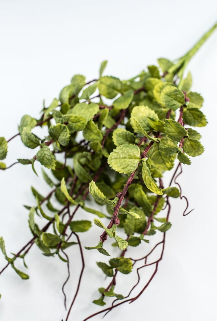 Green Peppermint Leaves Bush - Greenery Market219642