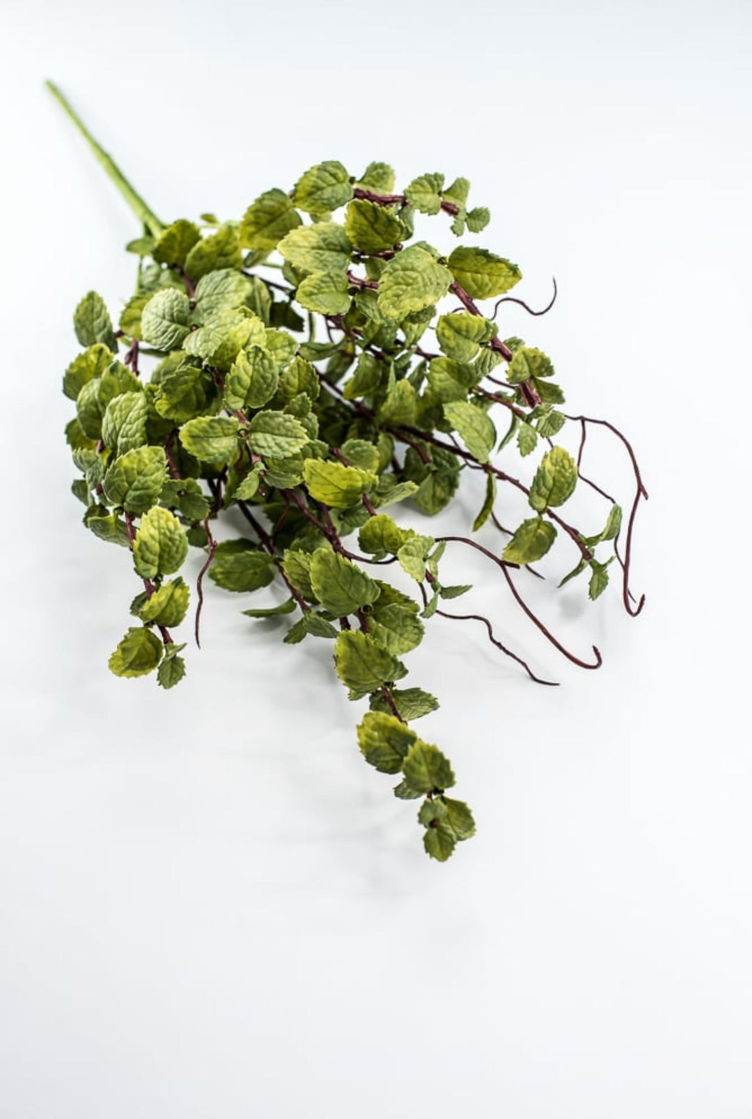 Green Peppermint Leaves Bush - Greenery Market219642