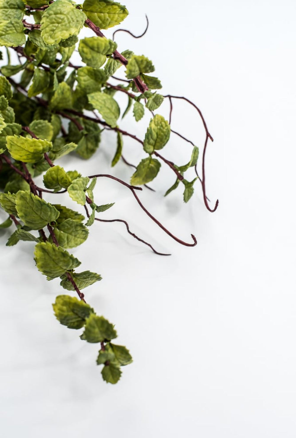 Green Peppermint Leaves Bush - Greenery Market219642