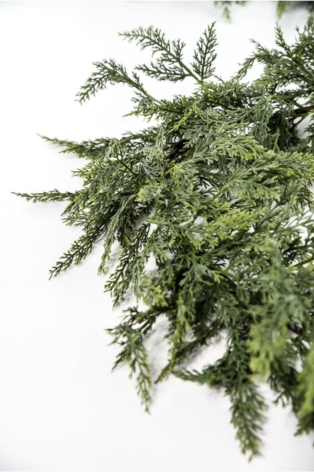 Green soft touch cedar garland 6’ - Greenery MarketX1937/6