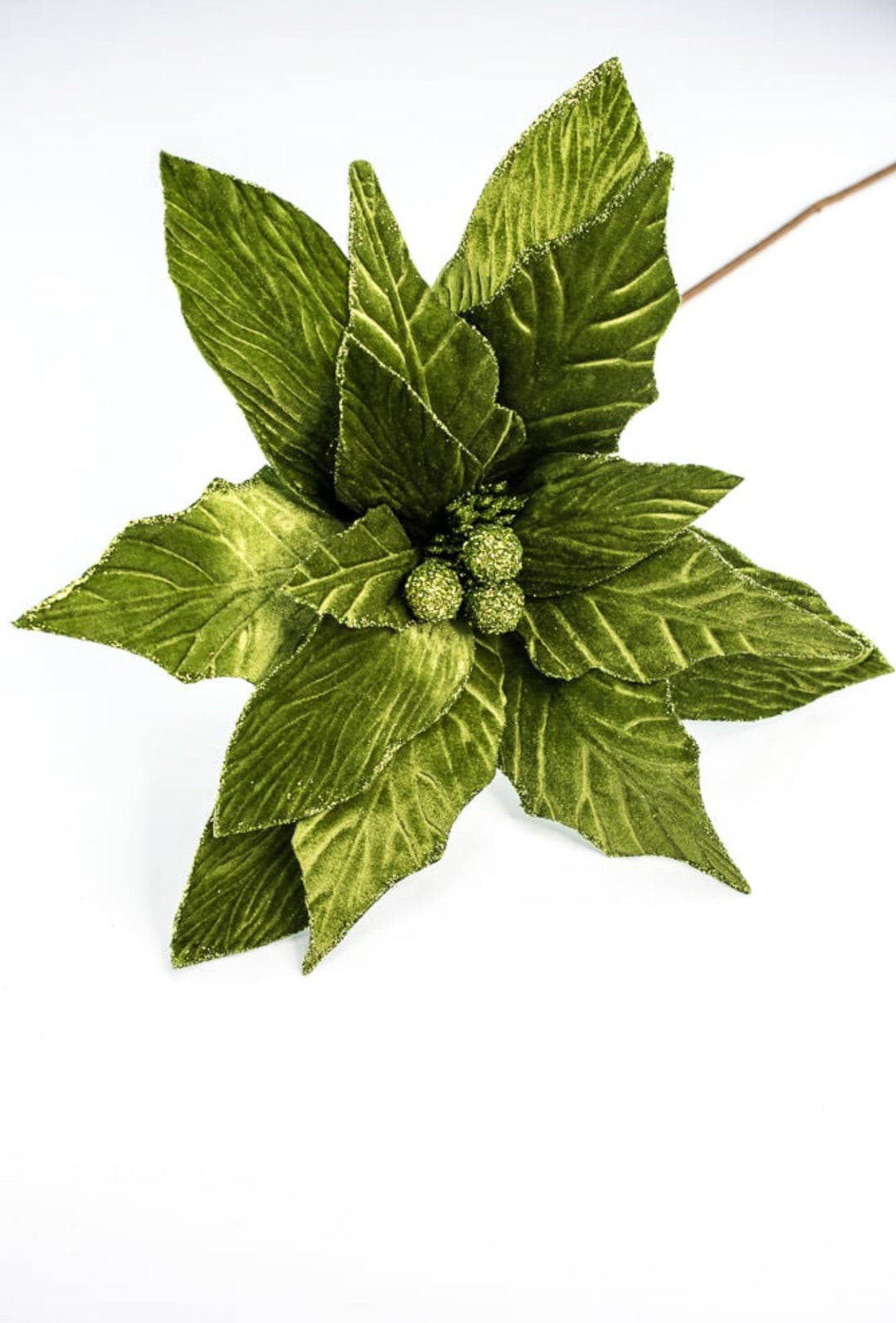 Green, statement size, velvet poinsettia - large - Greenery MarketXS3824A1