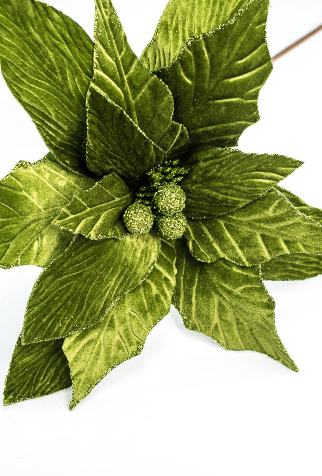 Green, statement size, velvet poinsettia - large - Greenery MarketXS3824A1