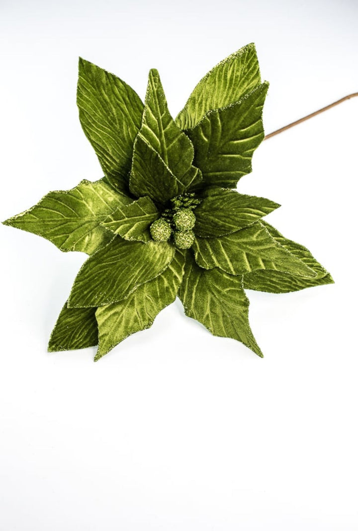 Green, statement size, velvet poinsettia - large - Greenery MarketXS3824A1