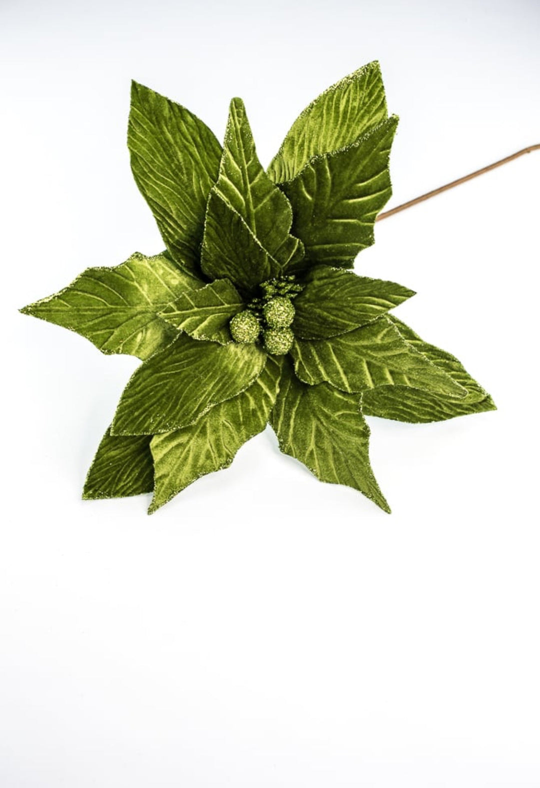 Green, statement size, velvet poinsettia - large - Greenery MarketXS3824A1