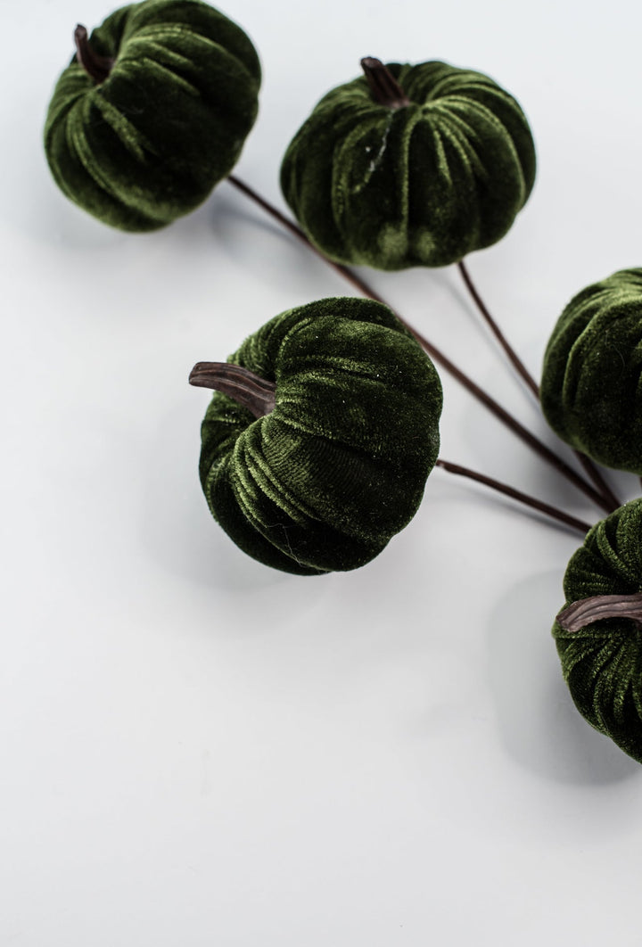 Green velvet pumpkin spray - Greenery MarketPicks84447 - GN