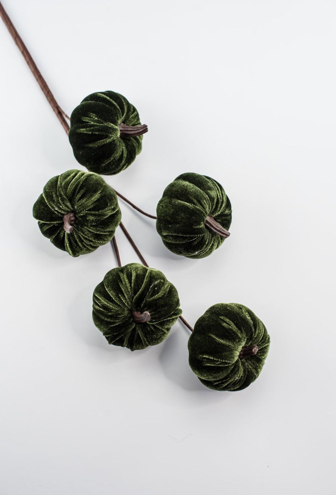 Green velvet pumpkin spray - Greenery MarketPicks84447 - GN