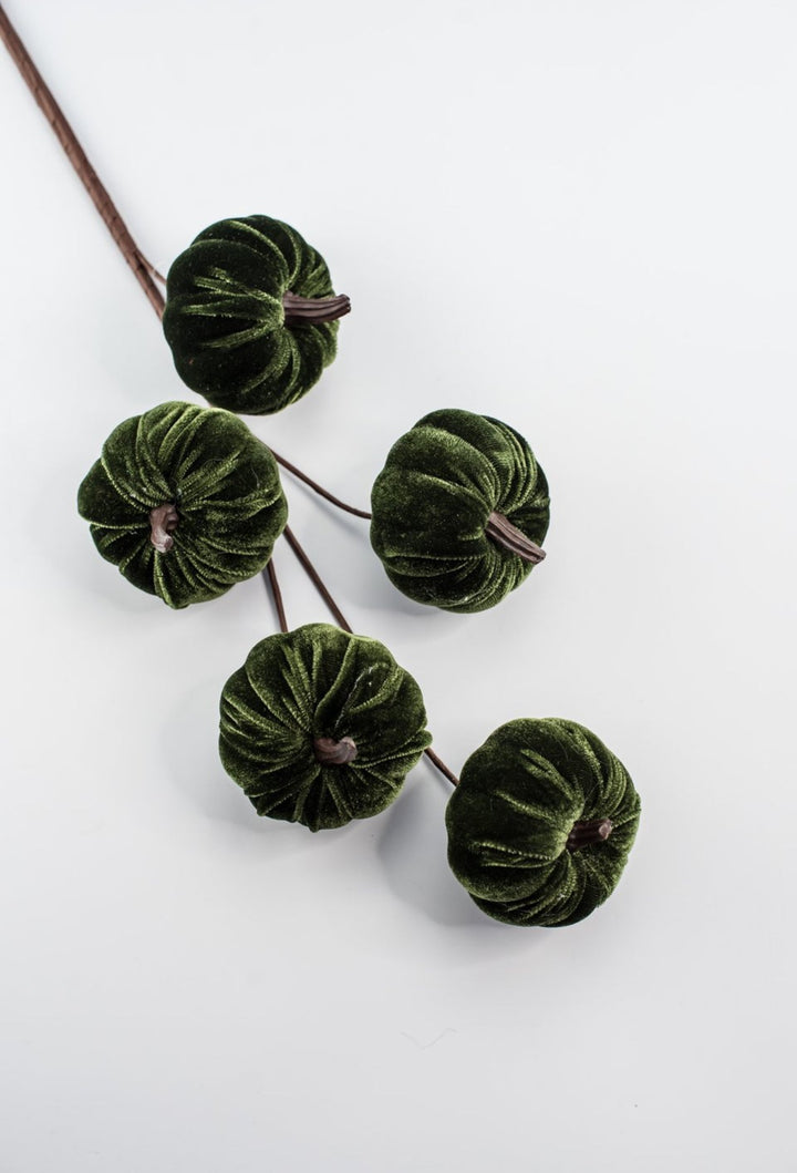 Green velvet pumpkin spray - Greenery MarketPicks84447 - GN