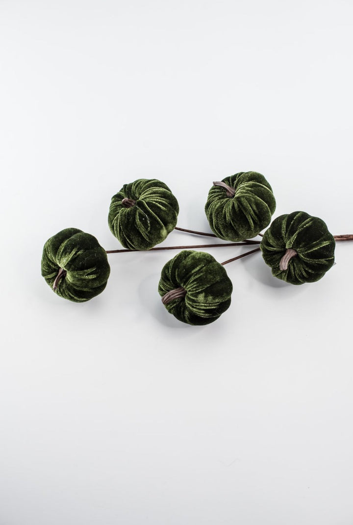 Green velvet pumpkin spray - Greenery MarketPicks84447 - GN