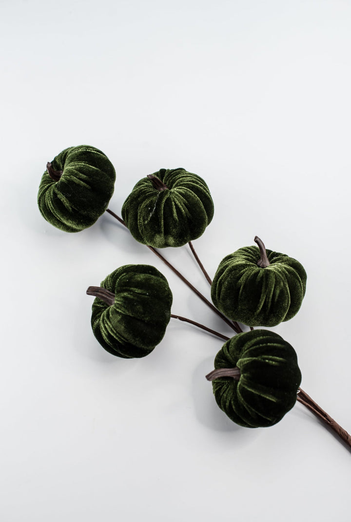 Green velvet pumpkin spray - Greenery MarketPicks84447 - GN