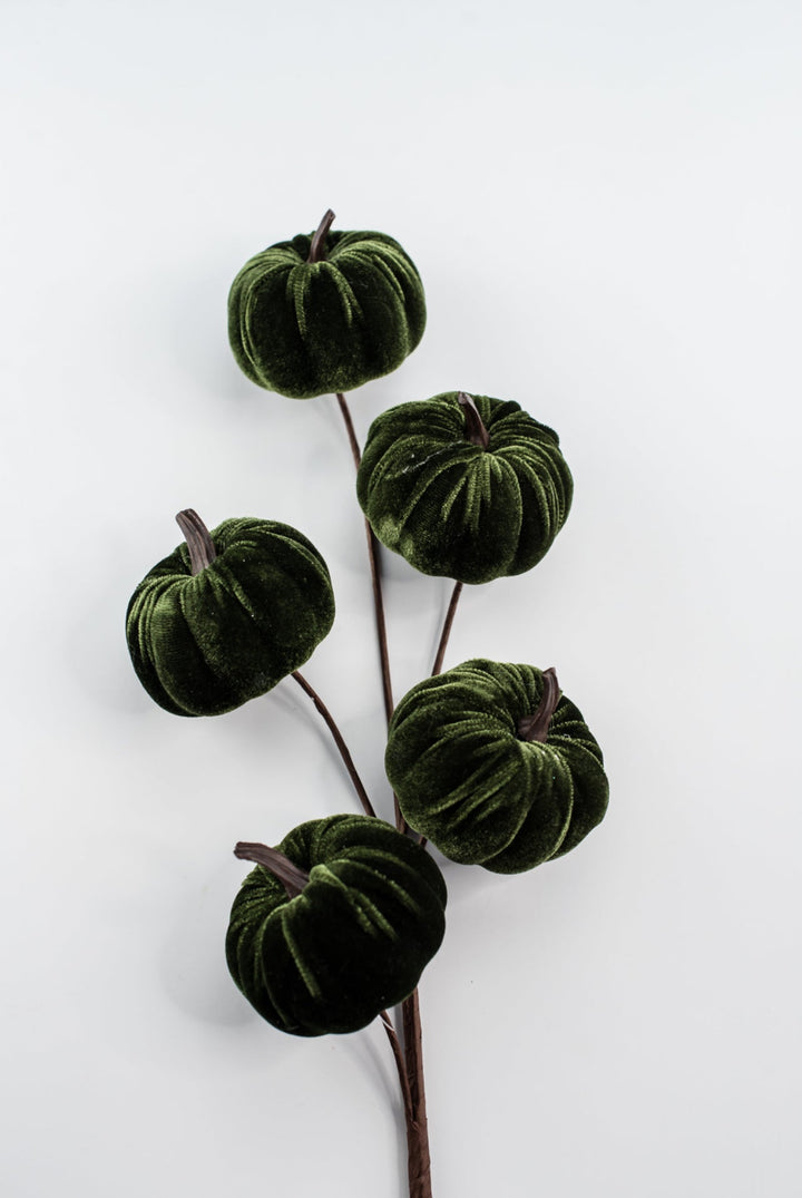 Green velvet pumpkin spray - Greenery MarketPicks84447 - GN