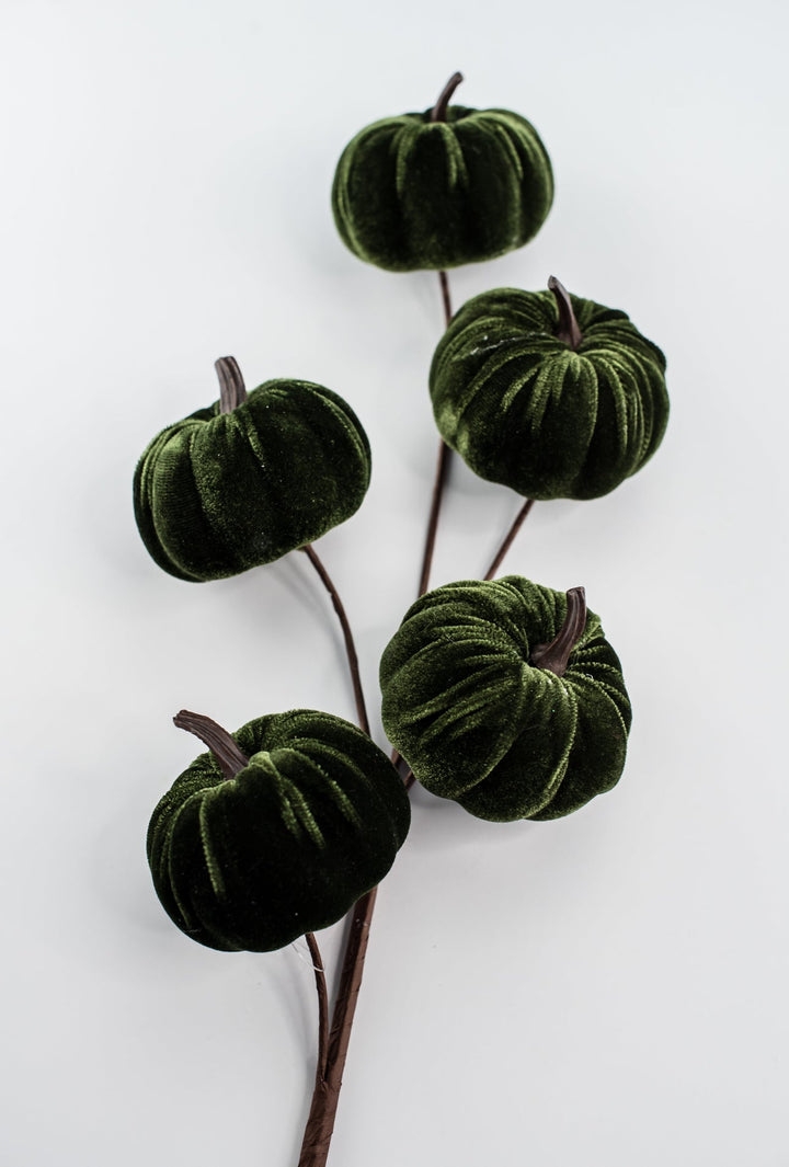 Green velvet pumpkin spray - Greenery MarketPicks84447 - GN
