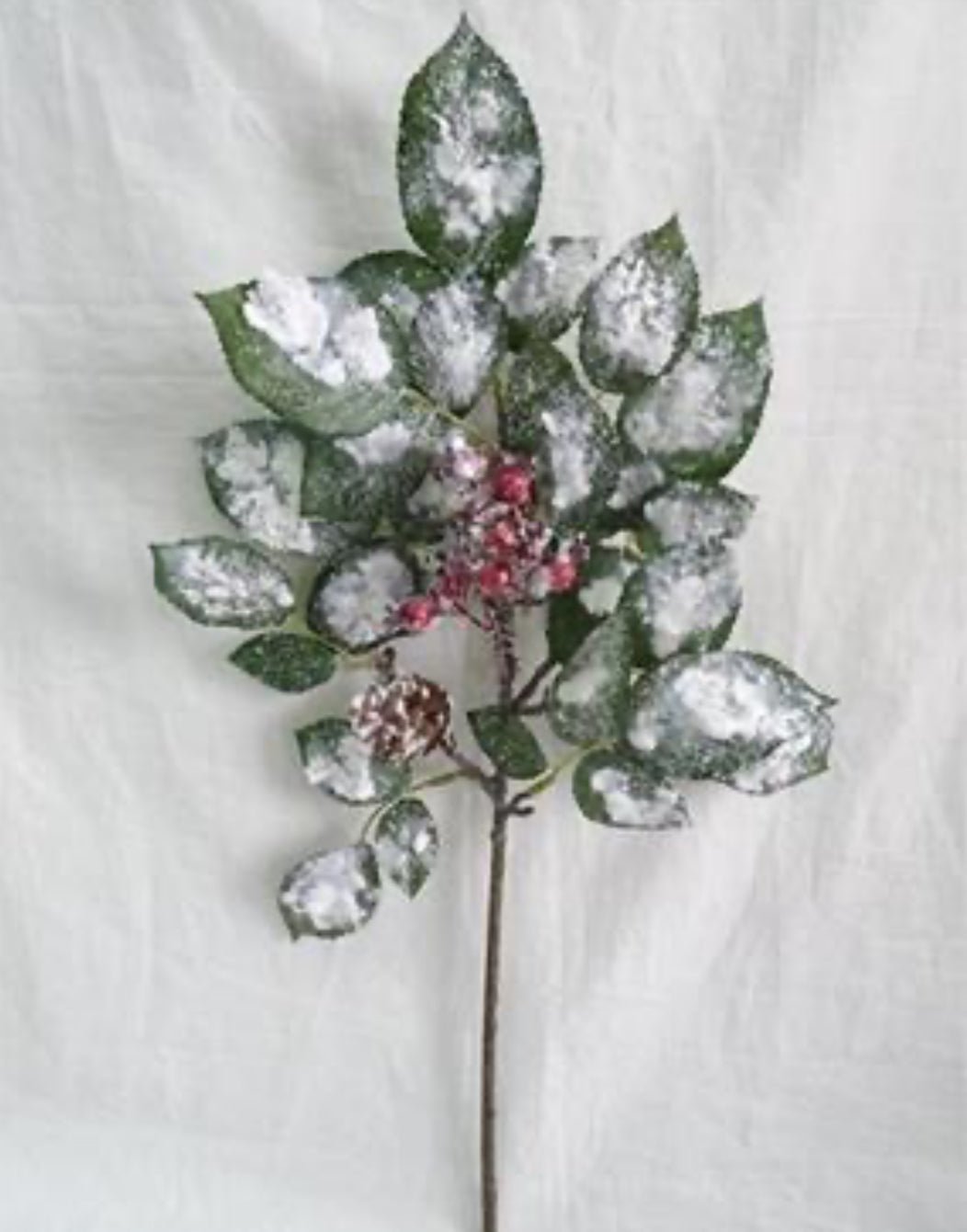 Green & White Snow Leaf Berry Spray With Cone - Greenery MarketXP2688GW