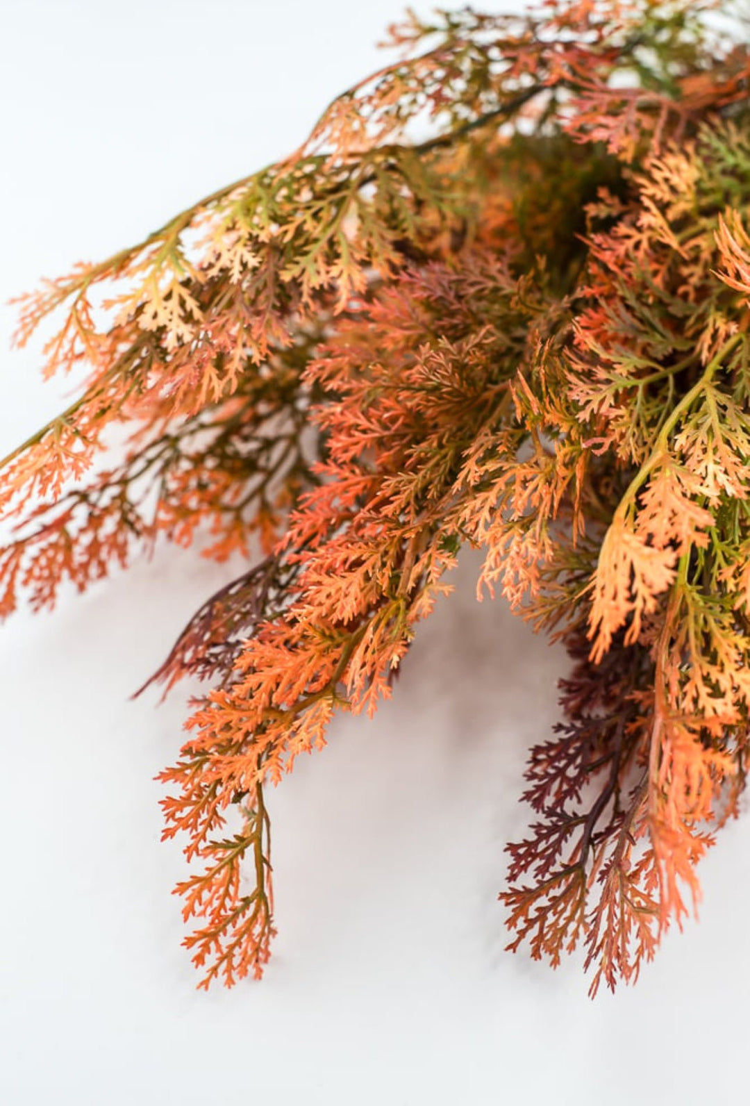 Greenery Bush - orange rust - Greenery Market58304