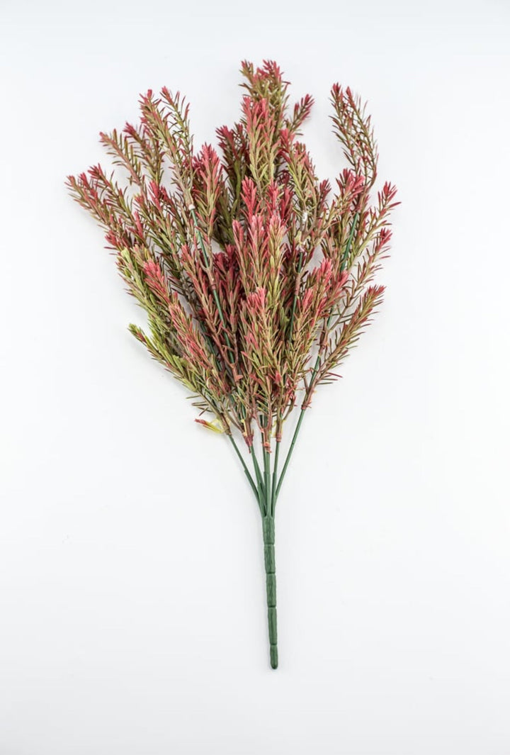 Greenery bush - red wine tips - Greenery Market57755