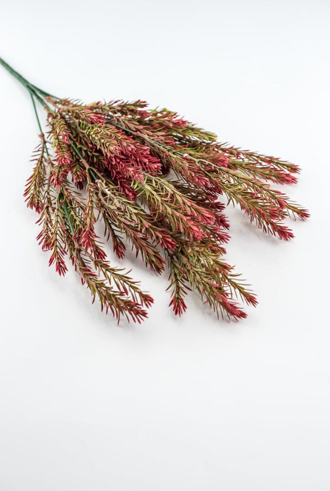 Greenery bush - red wine tips - Greenery Market57755