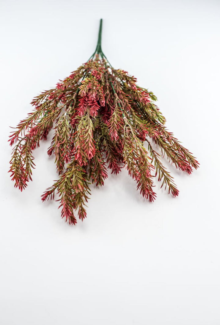 Greenery bush - red wine tips - Greenery Market57755