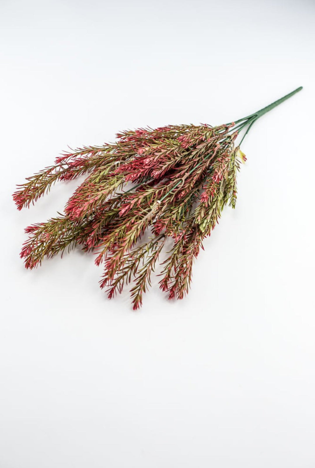 Greenery bush - red wine tips - Greenery Market57755