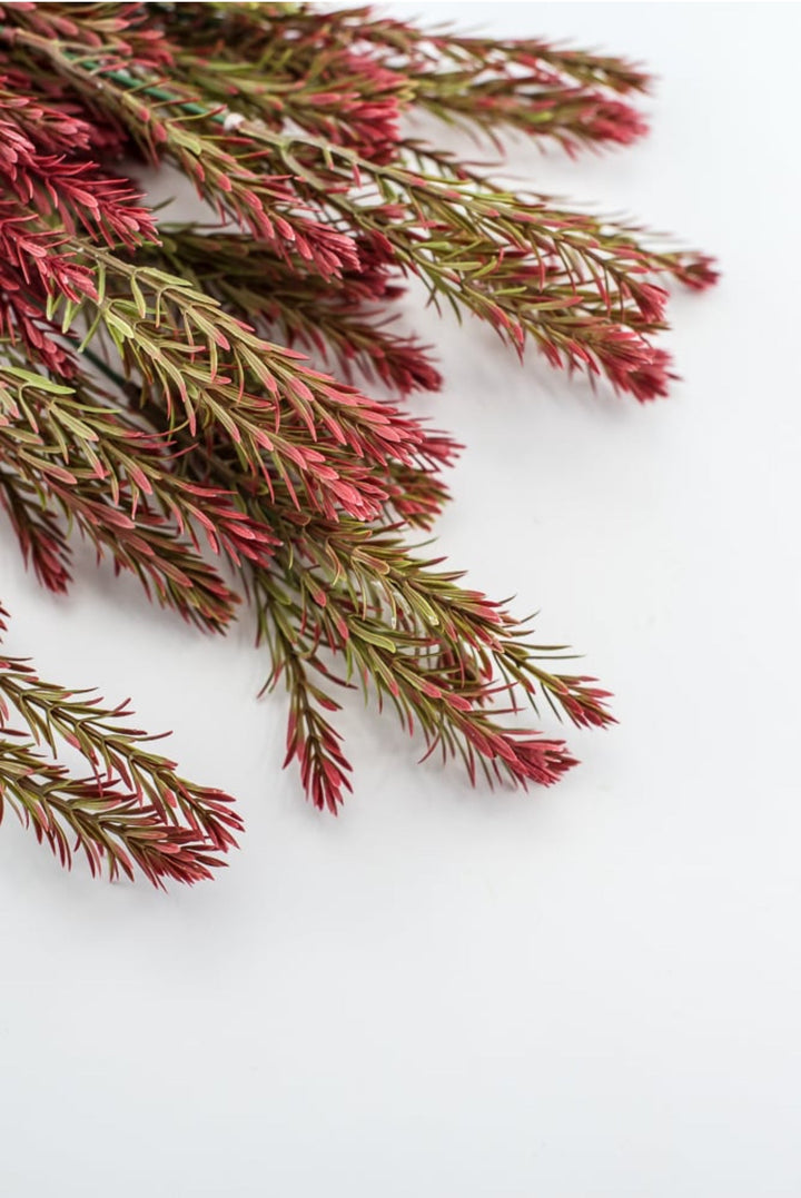 Greenery bush - red wine tips - Greenery Market57755