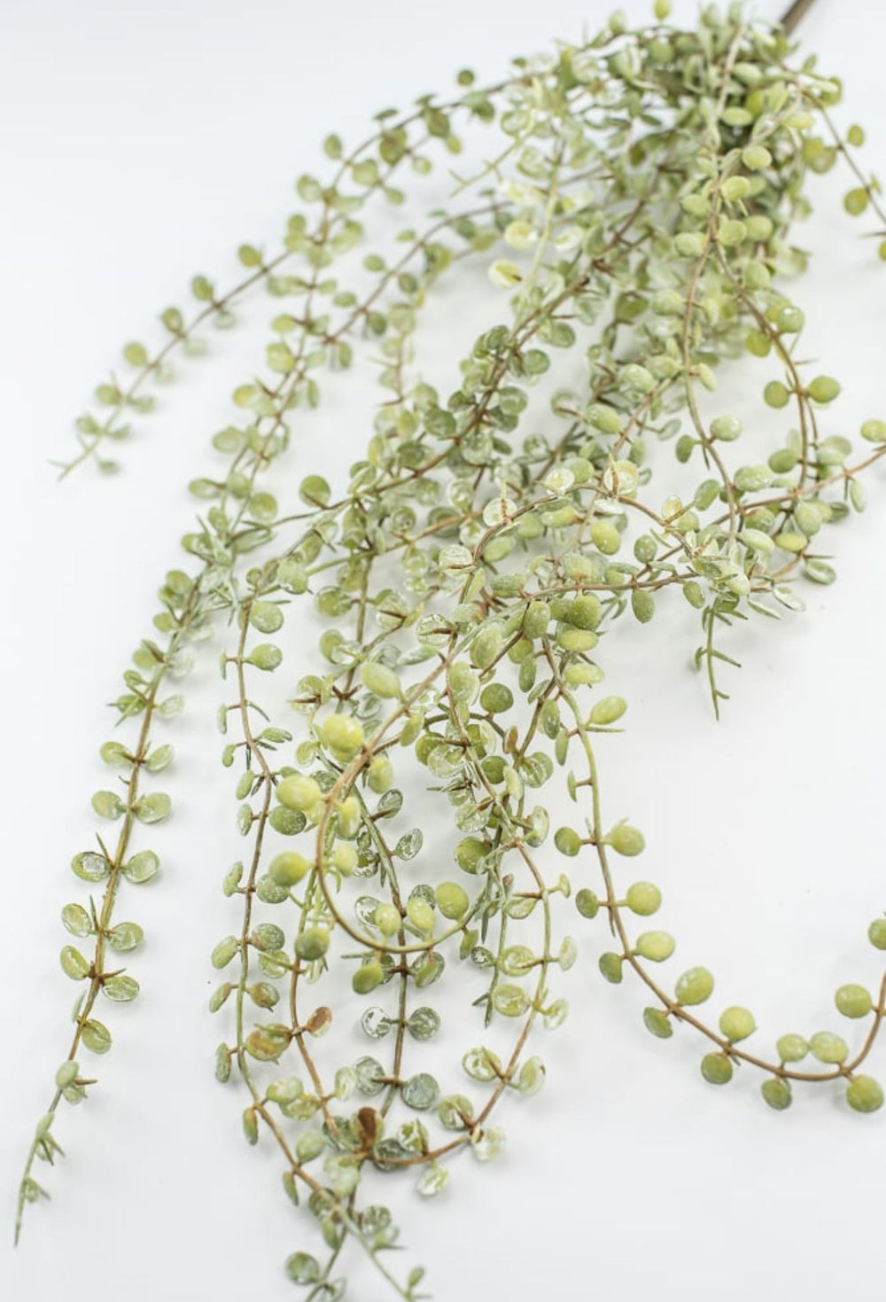 Hanging button fern bush - Greenery MarketArtificial FloraFL4491 - SG