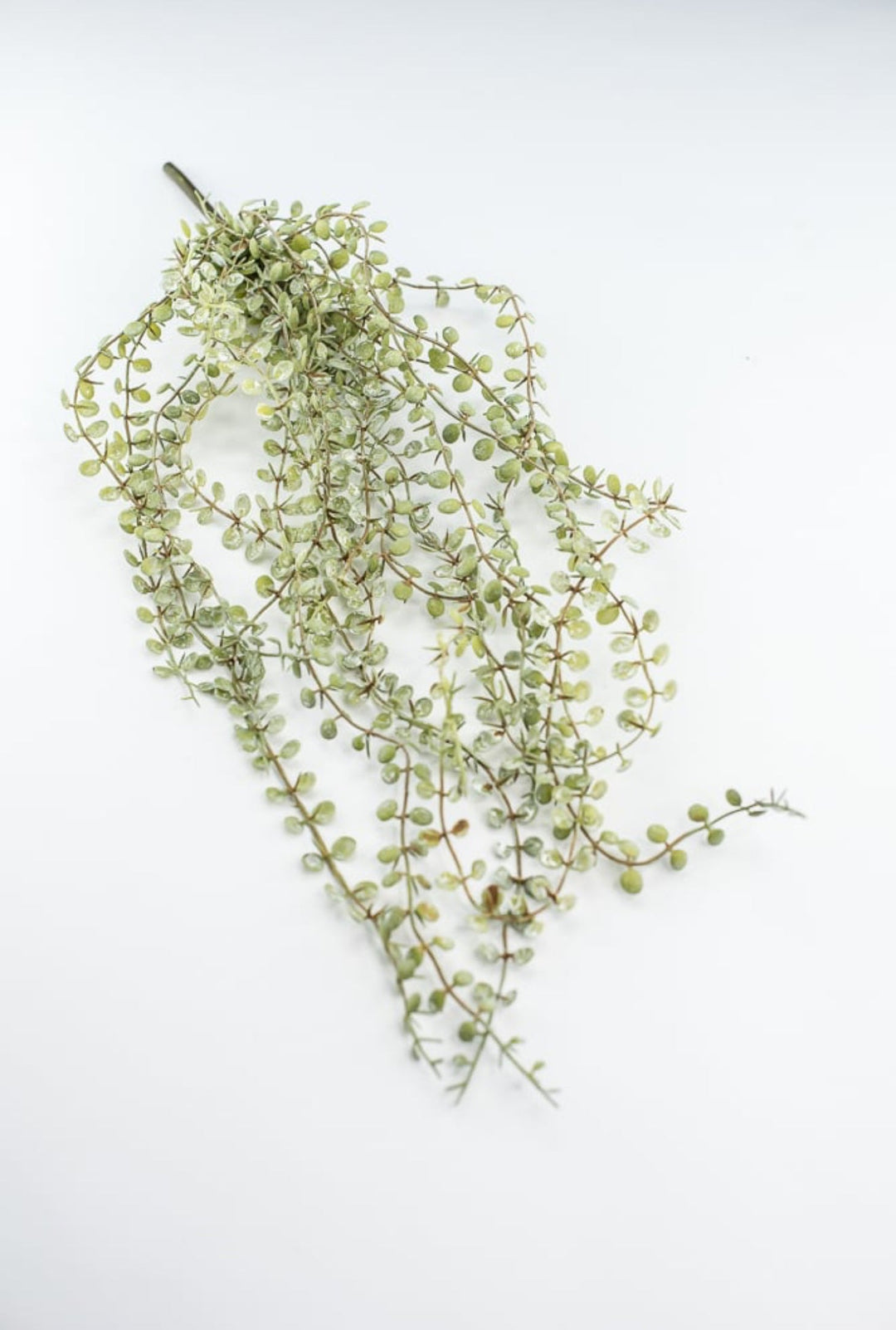 Hanging button fern bush - Greenery MarketArtificial FloraFL4491 - SG