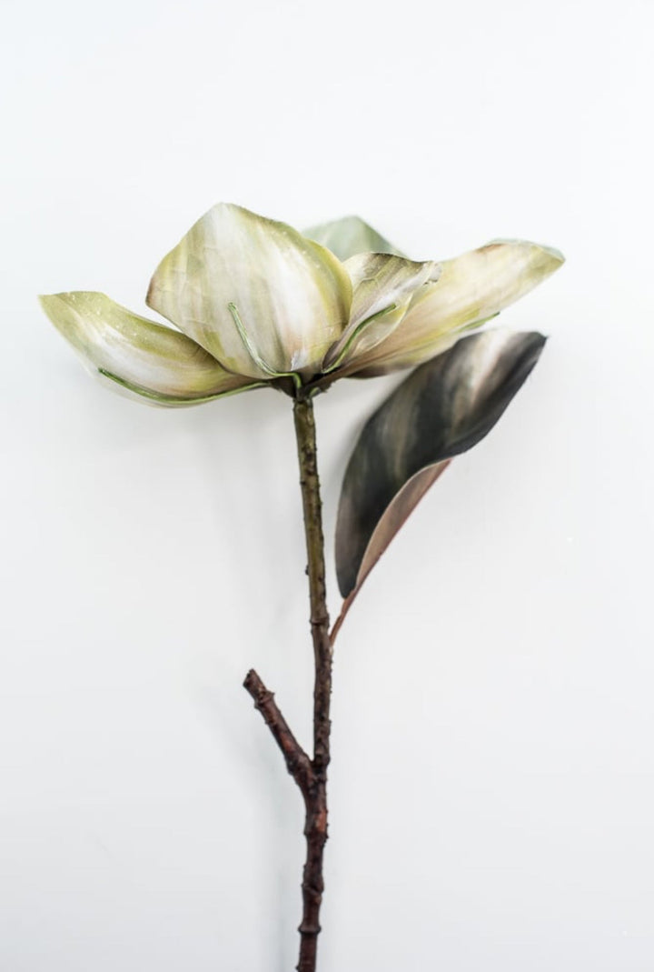 Holiday magnolia stem - green - Greenery Market6360 - G