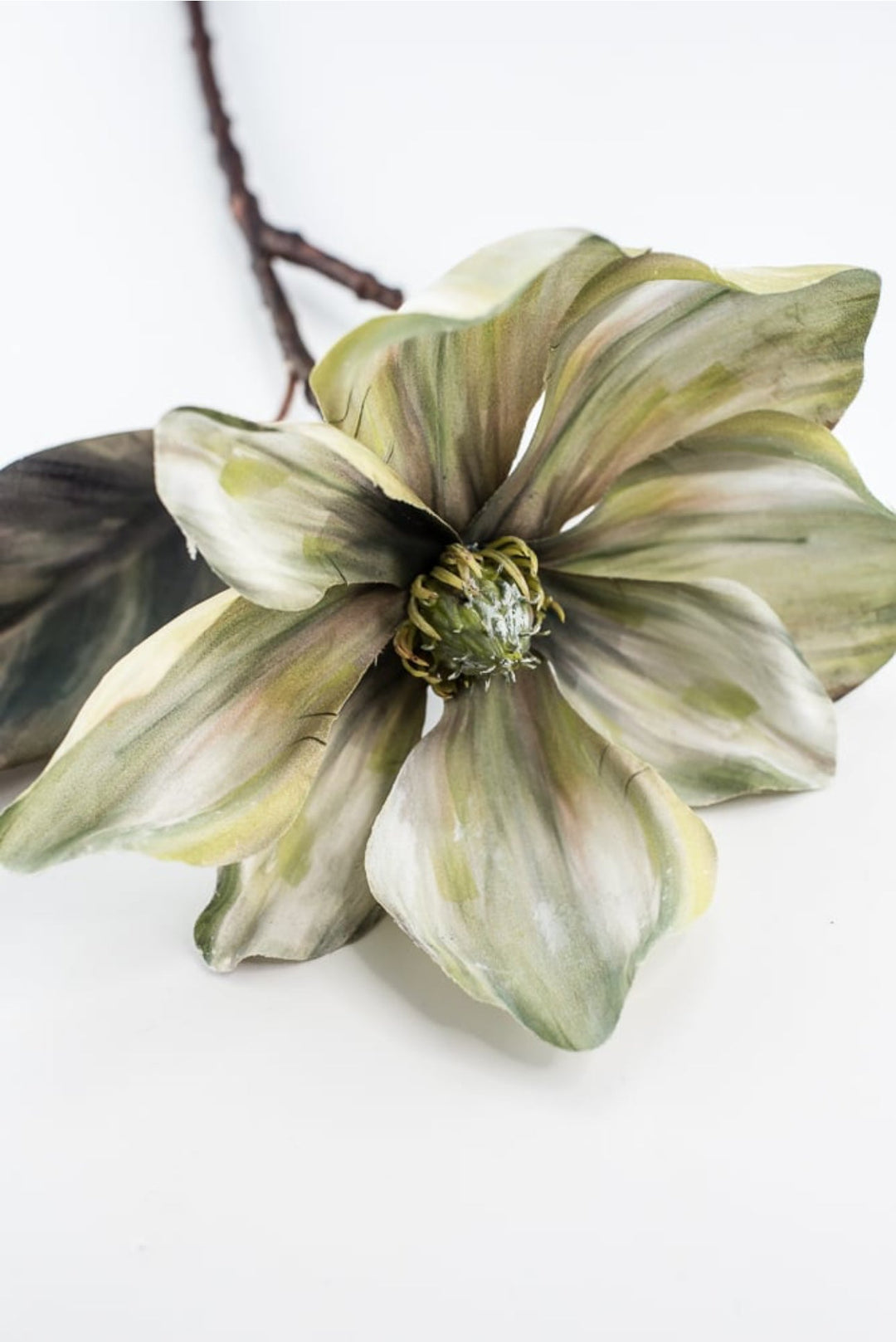 Holiday magnolia stem - green - Greenery Market6360 - G