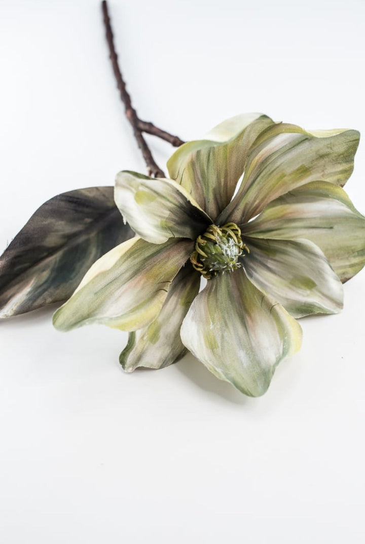 Holiday magnolia stem - green - Greenery Market6360 - G