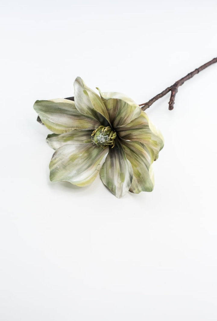 Holiday magnolia stem - green - Greenery Market6360 - G