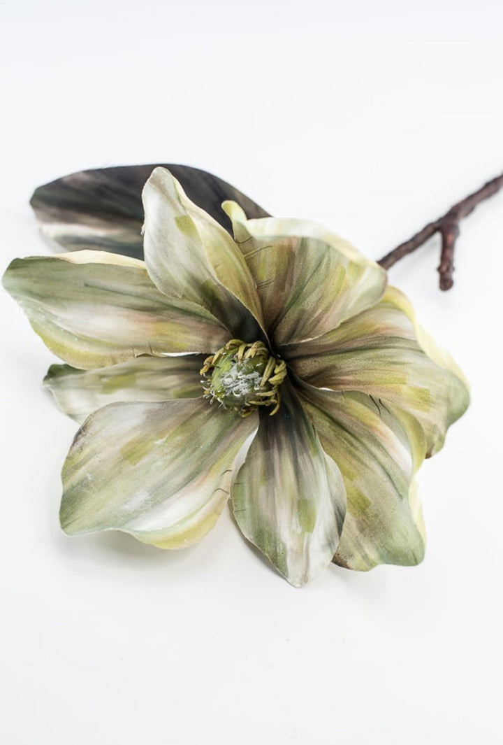 Holiday magnolia stem - green - Greenery Market6360 - G