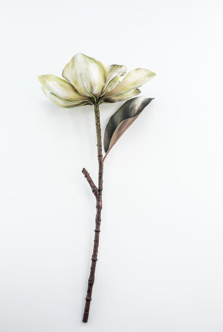 Holiday magnolia stem - green - Greenery Market6360 - G