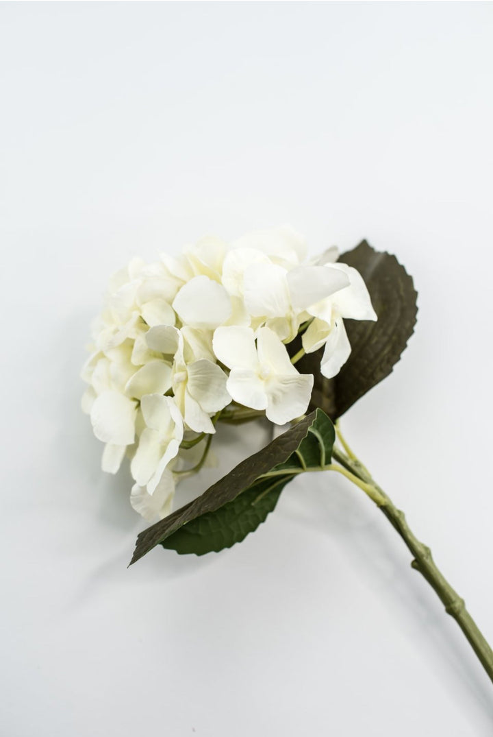 Hydrangeas Stem - Off White - Greenery Marketartificial flowers6474 - W