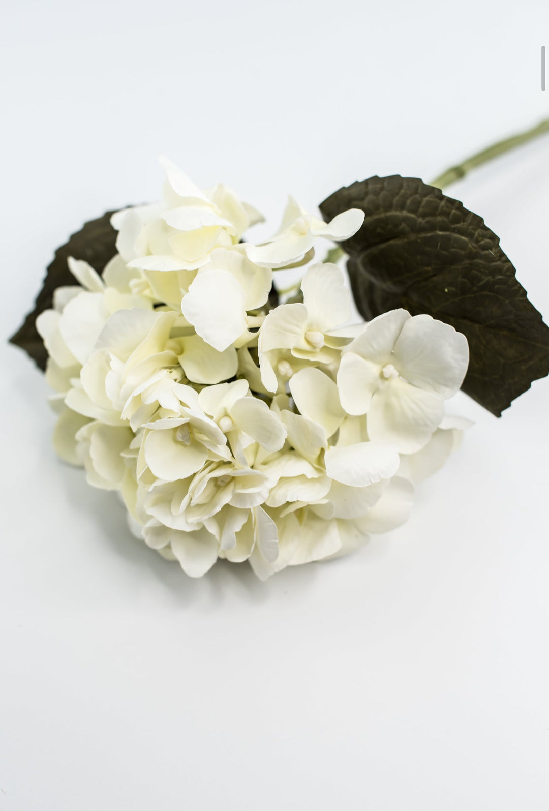 Hydrangeas Stem - Off White - Greenery Marketartificial flowers6474 - W