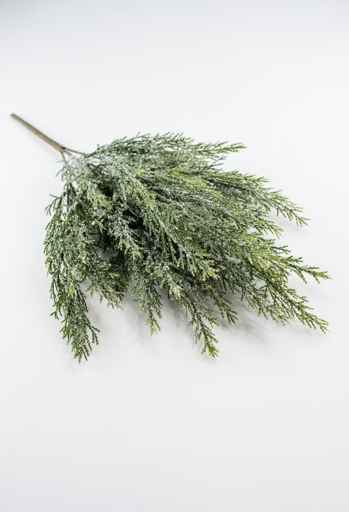 Iced cypress bush - Greenery Market84351