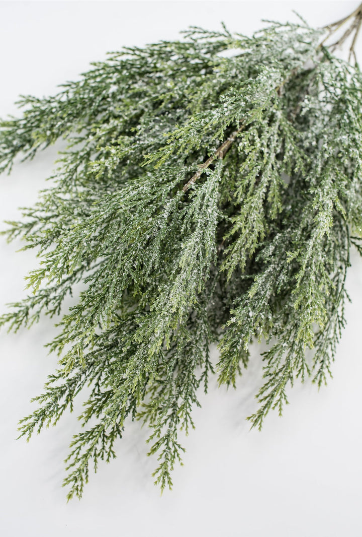 Iced cypress bush - Greenery Market84351