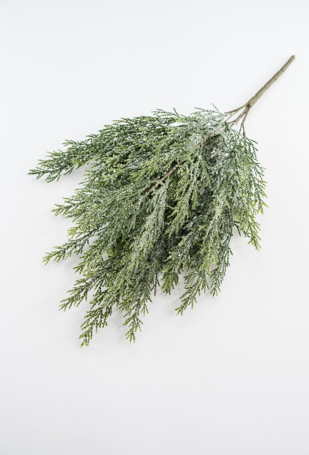 Iced cypress bush - Greenery Market84351
