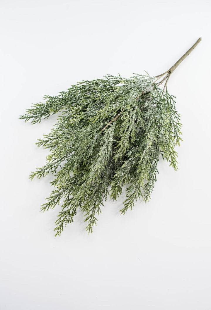 Iced cypress bush - Greenery Market84351