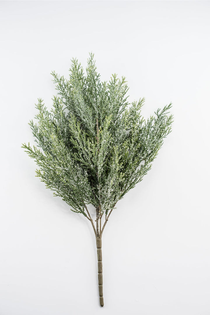 Iced cypress bush - Greenery Market84351