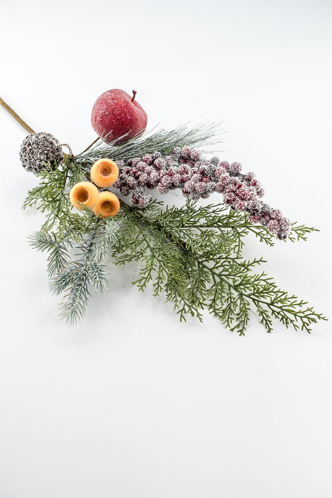 Iced Fruit, Berries, Pine, & Pinecone Pick - 20" - Greenery MarketXP2629SUGARED