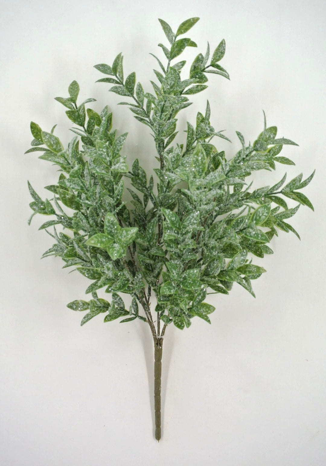 Iced Ruscus Bush - Greenery Market85254
