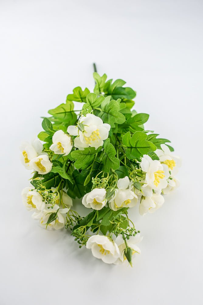 Indian Hawthorn Bush - Cream - Greenery Market28169