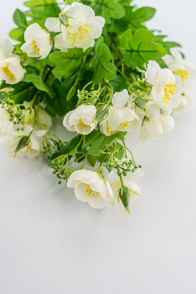 Indian Hawthorn Bush - Cream - Greenery Market28169