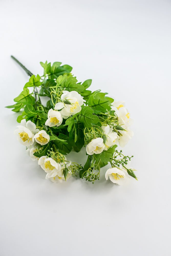 Indian Hawthorn Bush - Cream - Greenery Market28169