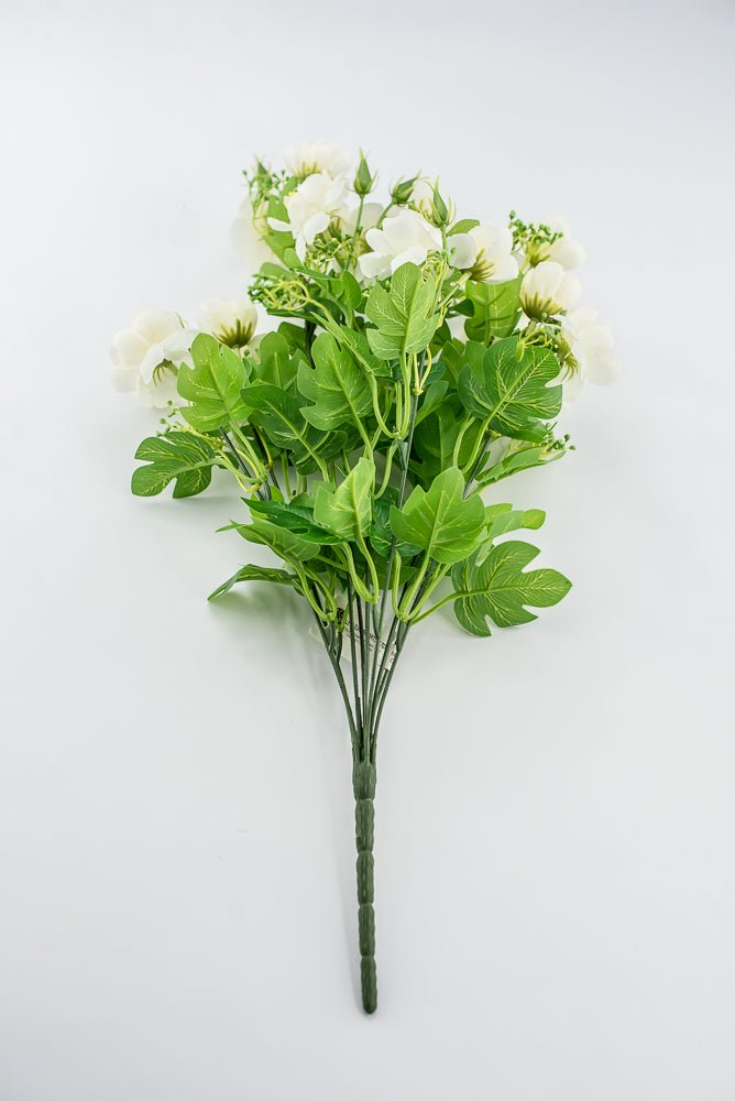 Indian Hawthorn Bush - Cream - Greenery Market28169