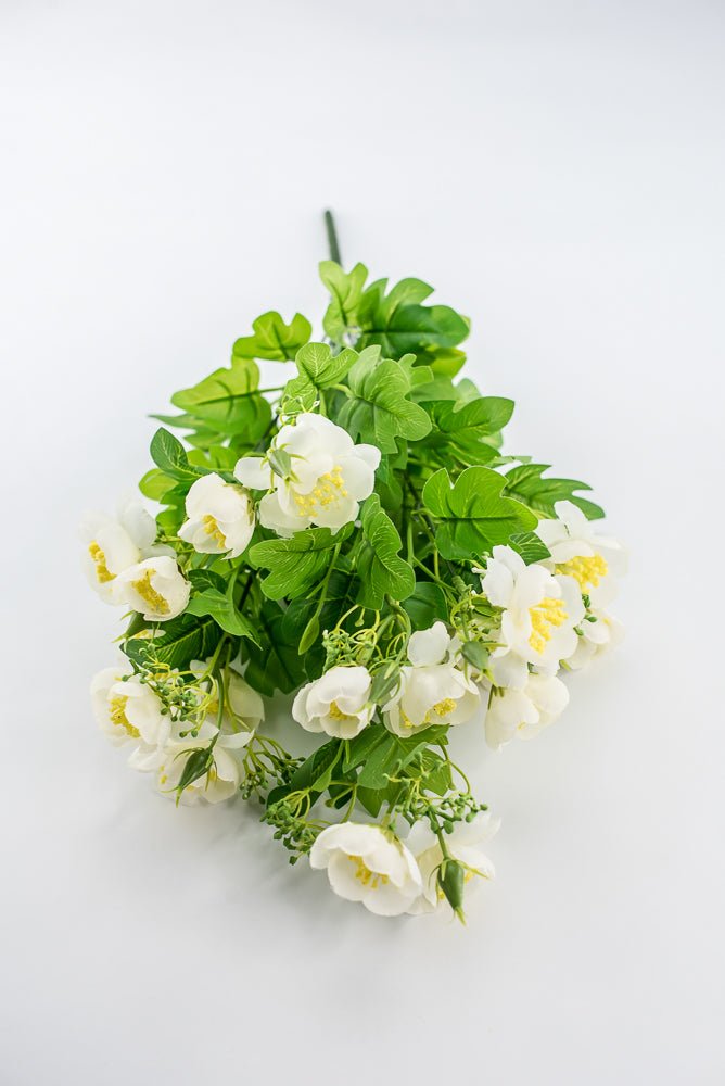 Indian Hawthorn Bush - Cream - Greenery Market28169