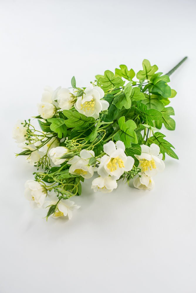 Indian Hawthorn Bush - Cream - Greenery Market28169