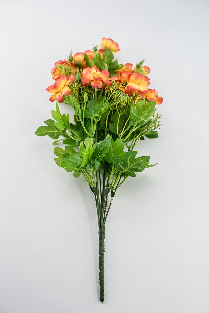 Indian Hawthorn Bush - Orange - Greenery Market28171