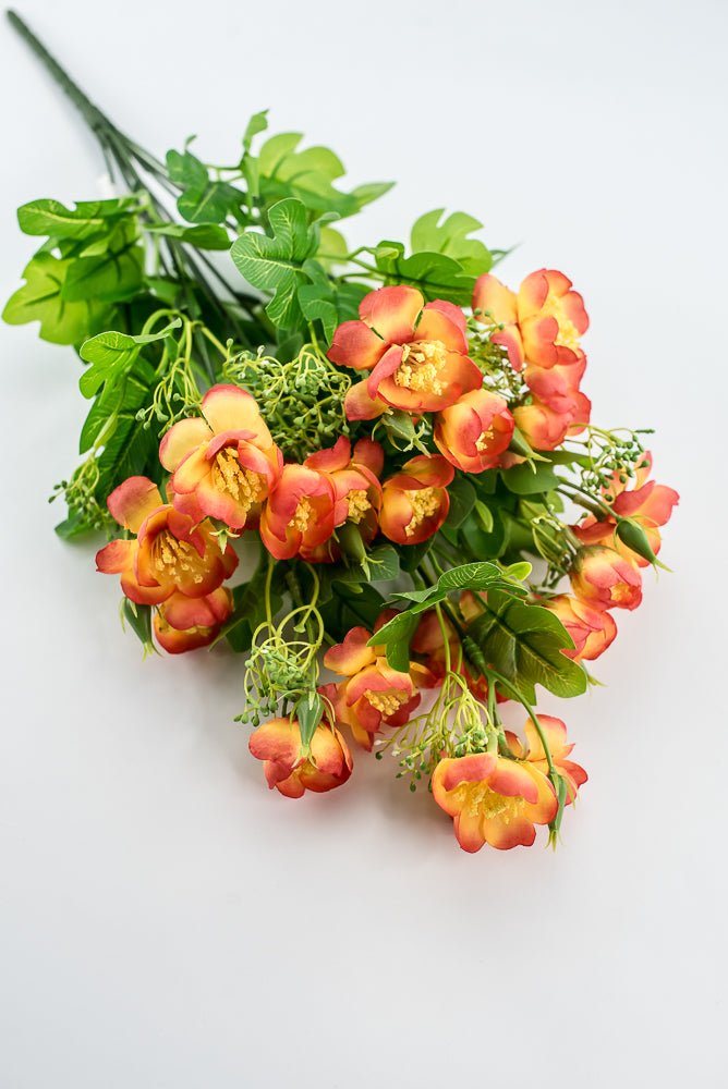 Indian Hawthorn Bush - Orange - Greenery Market28171