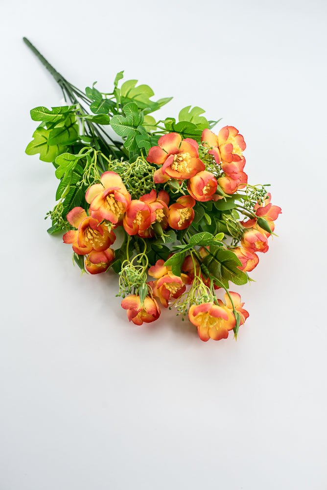 Indian Hawthorn Bush - Orange - Greenery Market28171